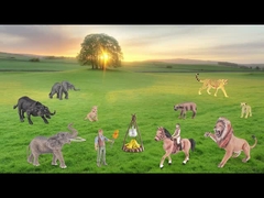 Дикая природа Африки